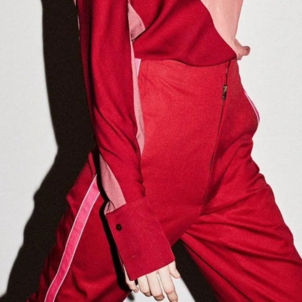TRE by Natalie Ratabesi Red/Pink Side Stripe Anita Pant in Maroon 6 - Picture 6 of 15